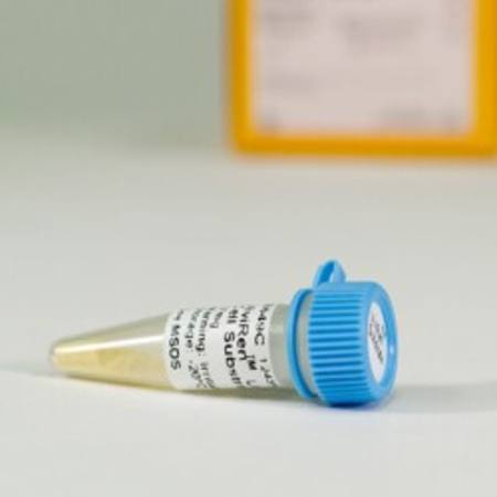 Buy ViviRen(TM) Live Cell Substrate, 37mg in NZ.