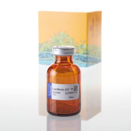 Buy Luciferin-EF(TM), 250mg in NZ.