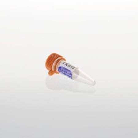 Buy pGL4.73[hRluc/SV40] Vector, 20ug in NZ. 