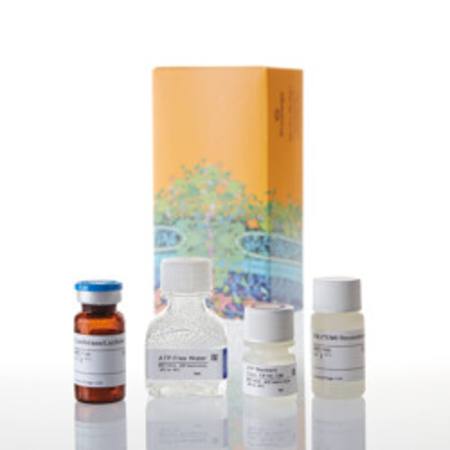 Buy ENLITEN(R) ATP Assay System in NZ.