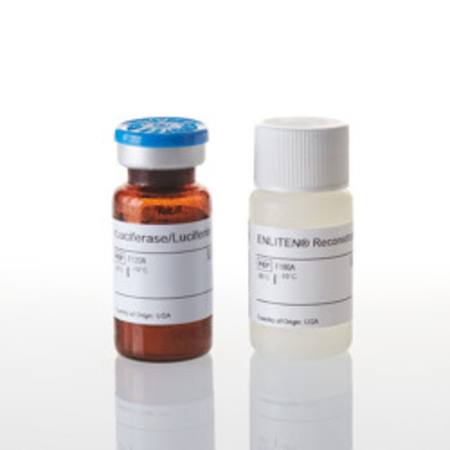 Buy ENLITEN(R) rLuciferase/ Luciferin Reagent, 100 Assays in NZ. 