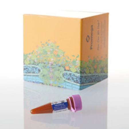 Buy HaloTag(R) Alexa Fluor(R) 488 Ligand, 30ul in NZ.
