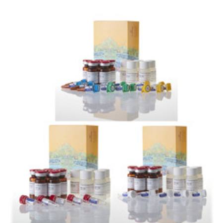 Buy Proteasome-Glo(TM) 3-Substrate Cell-Based Assay System, 50ml in NZ.