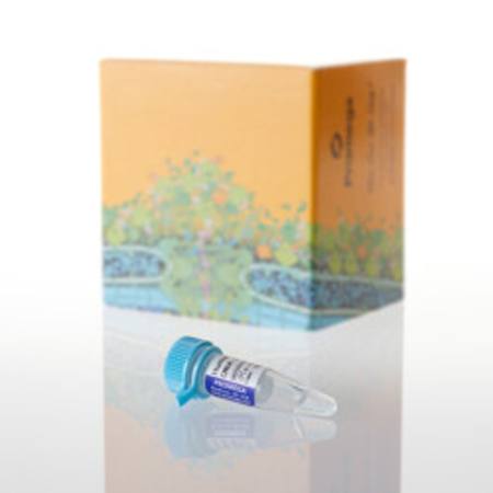 Buy Human Genomic DNA: Male, 100ug in NZ. 