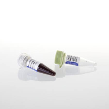Buy PhiX174 DNA / Hae III Markers, 50ug in NZ.