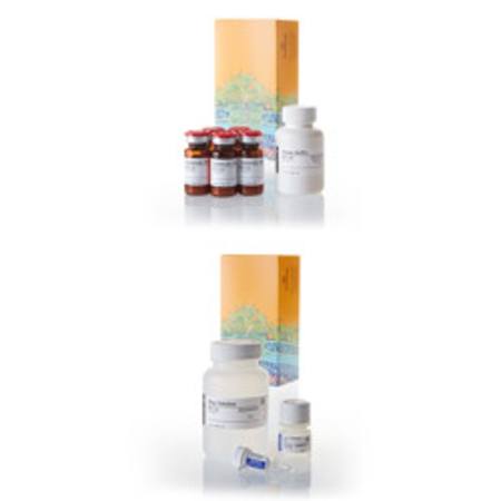 Buy CytoTox 96(R) Non-Radio. Cytotoxicity Assay, 10X96 well plt in NZ.