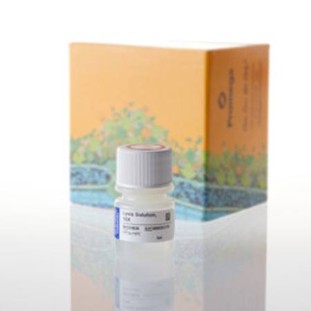 Buy Lysis Solution, 5ml in NZ. 