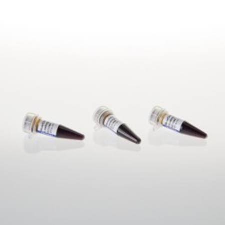 Buy Blue/Orange Loading Dye, 6X, 3ml (3x1ml) in NZ.
