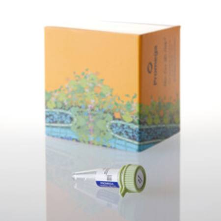 Buy RNA Markers, 50ul in NZ.