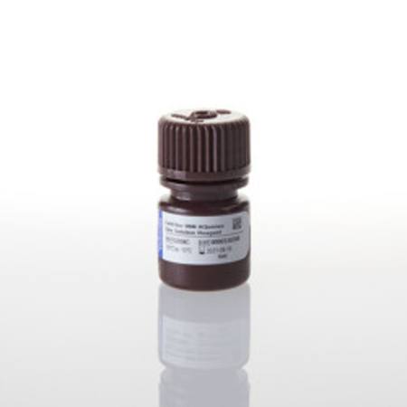 Buy CellTiter 96(R) AQueous One Solution Assay, 200 assays in NZ.