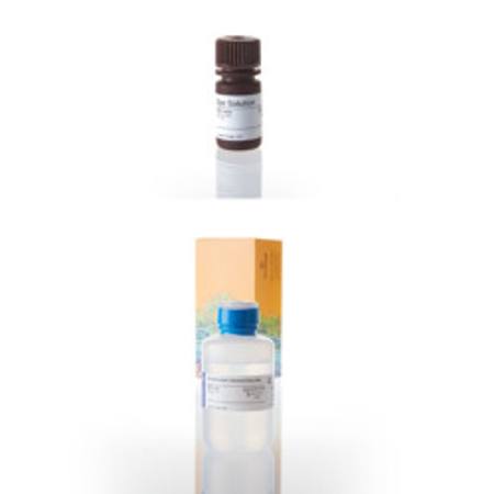 Buy CellTiter 96(R) Non-Rad Cell Prolif Assay, 10X96well plt in NZ. 