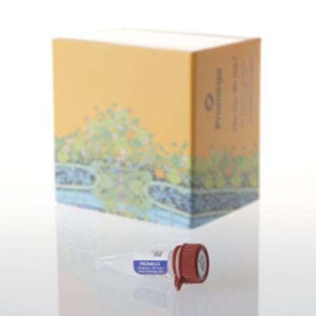 Buy HaloTag(R) Standard Protein, 30ug in NZ.