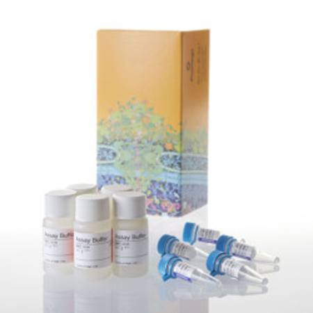 Buy CellTiter-Fluor(TM) Cell Viability Assay, 5 x 10ml in NZ.