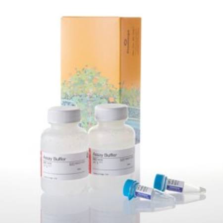 Buy CellTiter-Fluor(TM) Cell Viability Assay, 2 x 50ml in NZ.