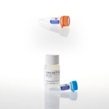 Buy HaloTag(R) Protein Purification System, Sample Pack in NZ. 