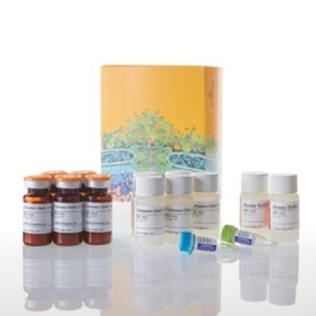 Buy ApoTox-Glo(TM) Triplex Assay, 5 X 10ml in NZ. 