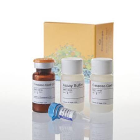 Buy ApoLive-Glo(TM) Multiplex Assay, 10ml in NZ.