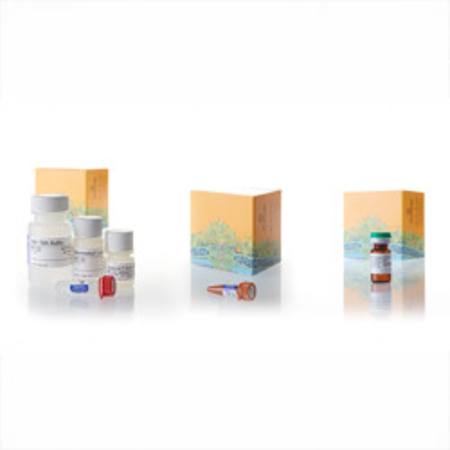 Buy HaloTag(R) Mammalian Pull-Down System in NZ. 