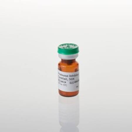 Buy Protease Inhibitor Cocktail, 50X, 1ml in NZ. 