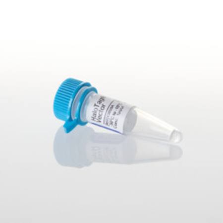Buy HaloTag(R) Control Vector, 20ug in NZ. 