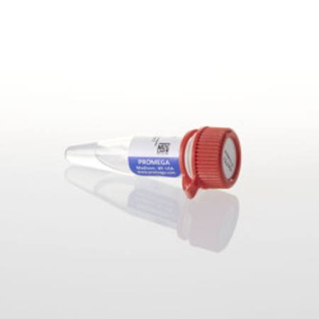 Buy HaloTEV Protease, 200 ul in NZ. 