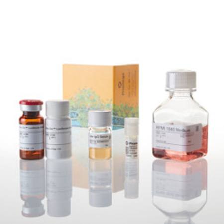 Buy ADCC Reporter Bioassay, Core Kit in NZ. 