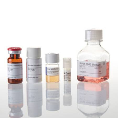 Buy ADCC Reporter Bioassay, Core Kit 5X in NZ.