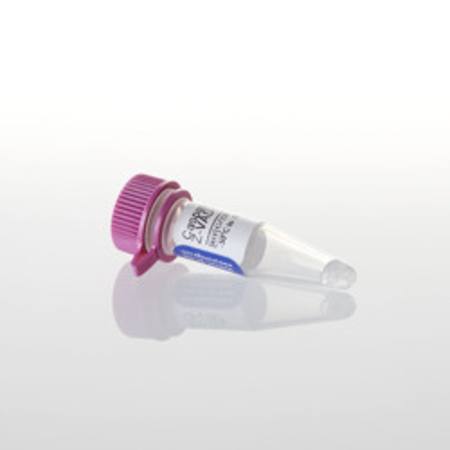 Buy Caspase Inhibitor Z-VAD-FMK 20mM, 50ul in NZ. 