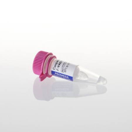 Buy Caspase Inhibitor Z-VAD-FMK 20mM, 125ul in NZ.