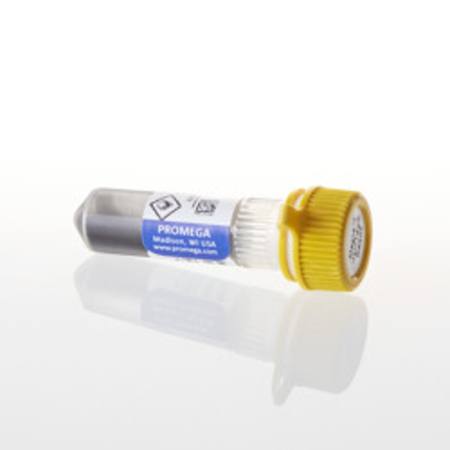 Buy Magne(TM) HaloTag(R) Beads, 20% Slurry, 1ml in NZ.
