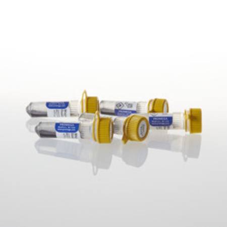 Buy Magne(TM) HaloTag(R) Beads, 20% Slurry, 5 X 1ml in NZ. 
