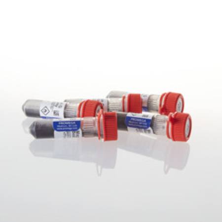 Buy Magne(TM) Protein G Beads, 5ml (5 x 1ml) in NZ.
