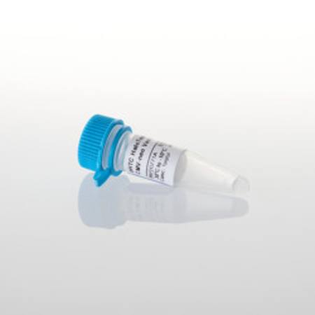 Buy pHTC HaloTag(R) CMV-neo Vector, 20ug in NZ.