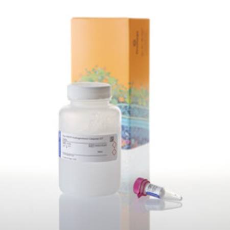 Buy Apo-ONE(R) Homogeneous Caspase -3/7 Assay, 100ml in NZ.