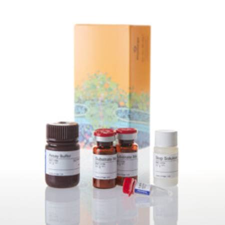 Buy CytoTox-ONE(TM) Homogen Membrn Integrity Assay, 200-800 assay in NZ. 
