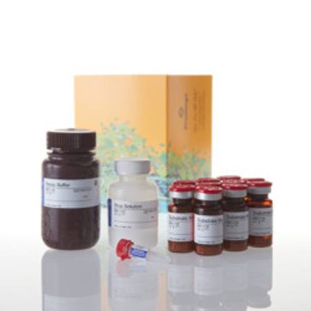 Buy CytoTox-ONE(TM) Homogen Membrn Integrity Assay, 1000-4000 asy in NZ.