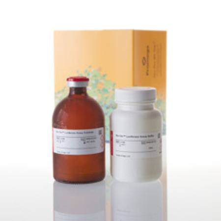 Buy Bio-Glo(TM) Luciferase Assay System in NZ.