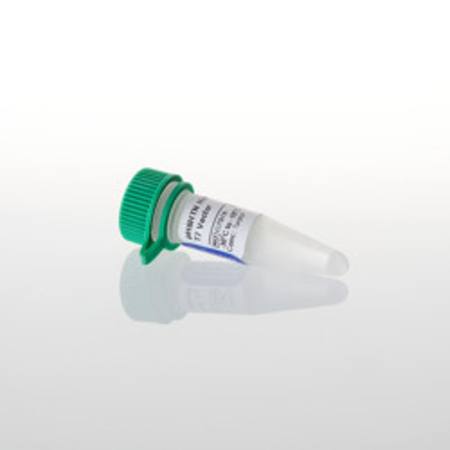 Buy pH6HTN His6HaloTag(R) T7 Vector in NZ.