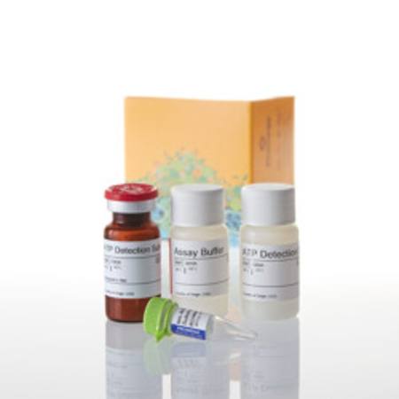 Buy Mitochondrial ToxGlo(TM) Assay , 10ml in NZ. 