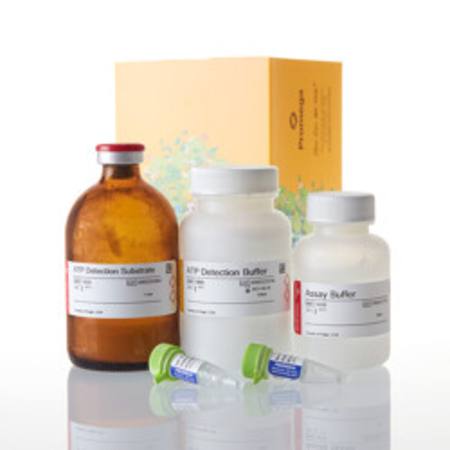 Buy Mitochondrial ToxGlo(TM) Assay , 100ml in NZ. 