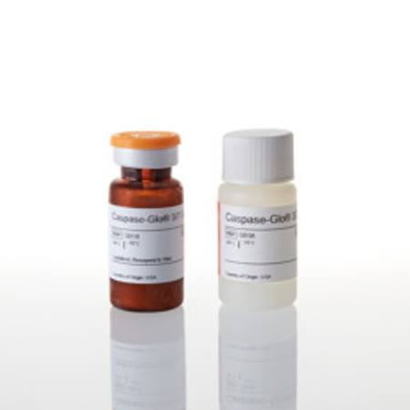 Buy Caspase-Glo(R) 3/7 Assay, 10ml in NZ. 