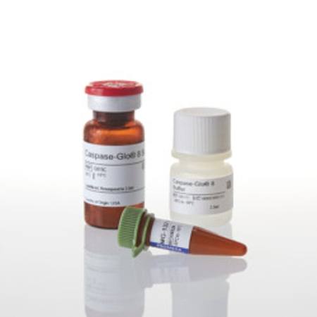 Buy Caspase-Glo(R) 8 Assay, 2.5ml in NZ. 
