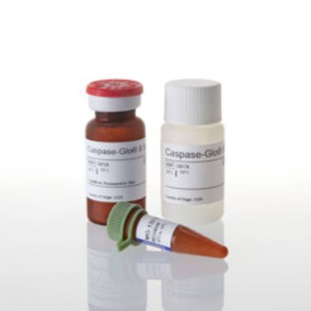 Buy Caspase-Glo(R) 8 Assay, 10ml in NZ.