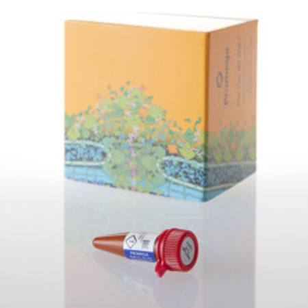 Buy HaloTag(R) TMR Ligand, 30ul in NZ.