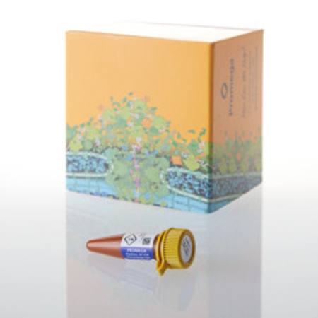 Buy HaloTag(R) diAcFAM Ligand, 30ul in NZ.