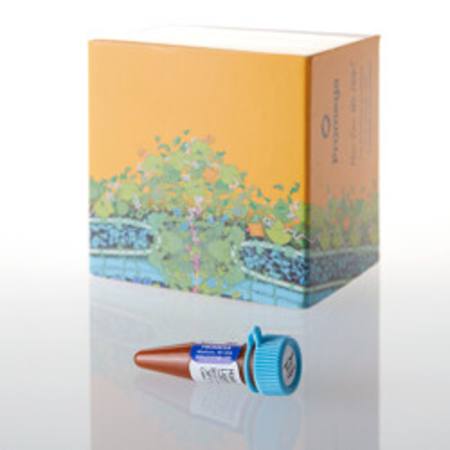 Buy HaloTag(R) Biotin Ligand, 15ul in NZ.