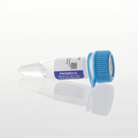 pFN28A HaloTag(R) CMV-neo Flexi(R) Vector, 20ug