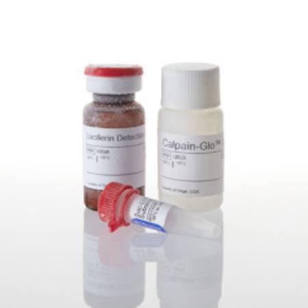 Buy Calpain-Glo(TM) Protease Assay 10ml in NZ. 