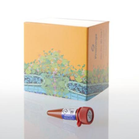 Buy HaloTag(R) Coumarin Ligand, 15ul in NZ.