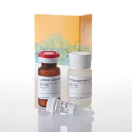 Buy Proteasome-Glo(TM) CaspaseLike Assay, 10ml in NZ.